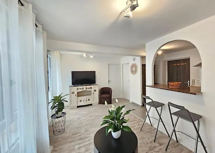 Le Cocon T2 Coeur De Ville